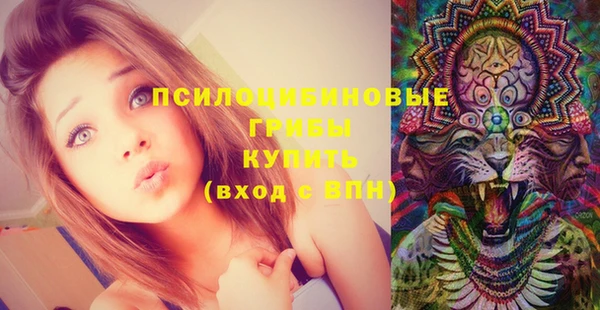 меф Мегион