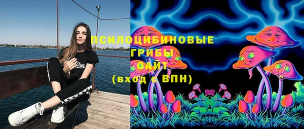 меф Мегион