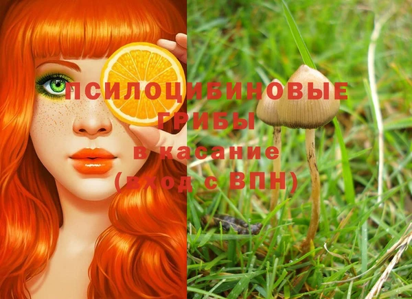 дурь Медногорск