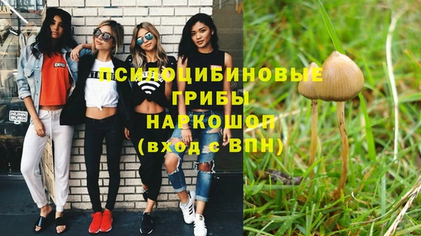 a pvp Медвежьегорск