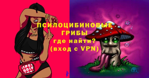 a pvp Медвежьегорск